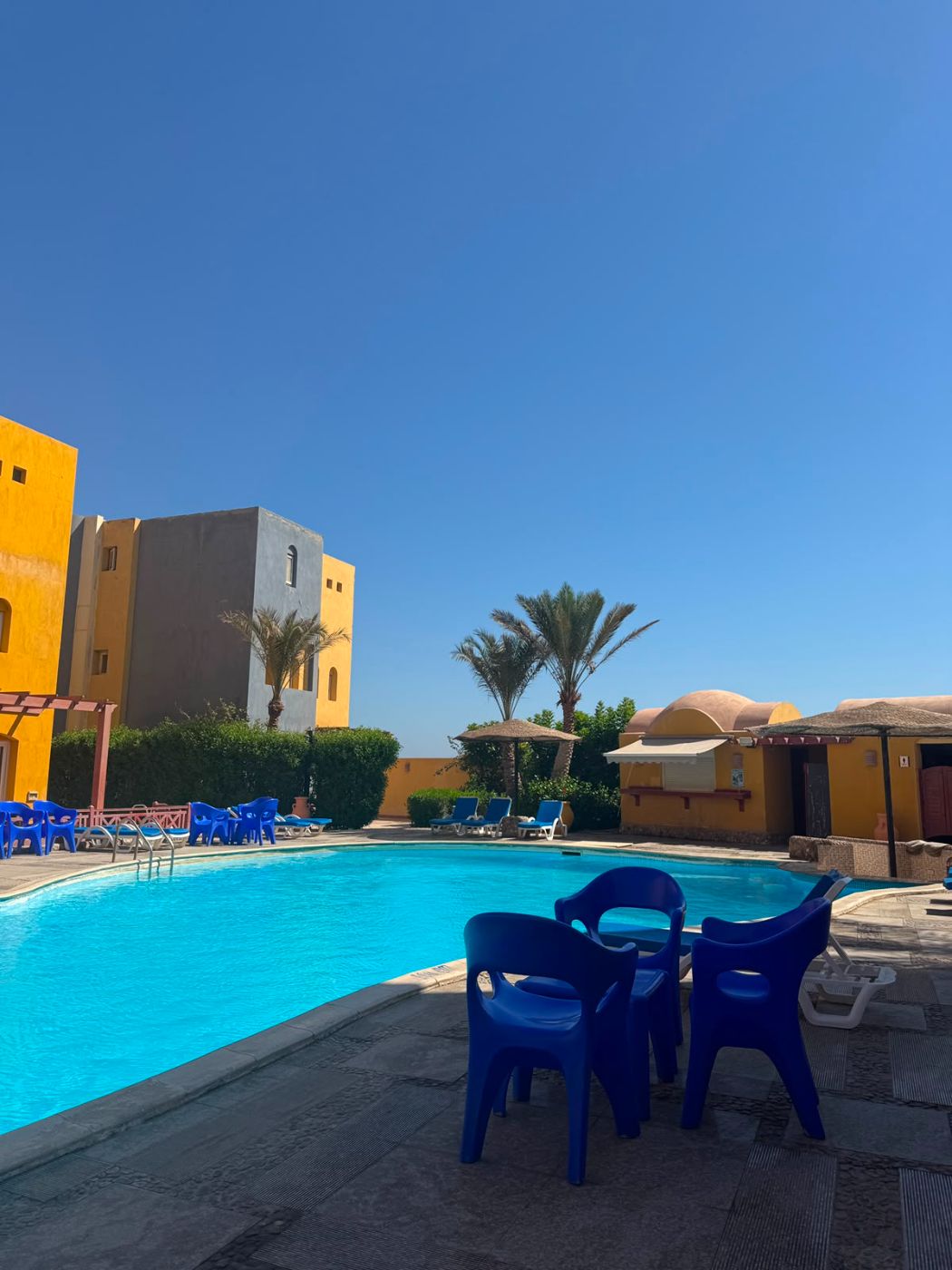 Pool, palms and blue sky